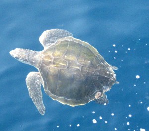 Boat Panama to Colombia 073