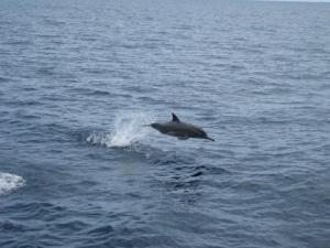 in good company boat Colombia to Panama 125