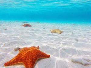 Sailboat Cartagena to Panama 092