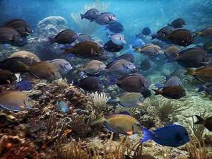 Sailing trip Colombia to Panama 083