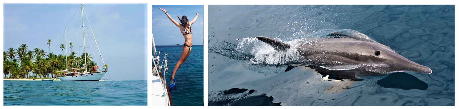 Boat Colombia to Panama Banner 5