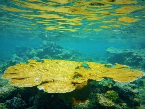 San Blas Adventure Cartagena to Panama