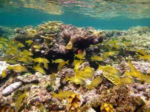 Blue Sailing San Blas Adventure on Ave Maria Sailing Panama to Cartagena