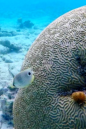 Boat tour Colombia to Panama