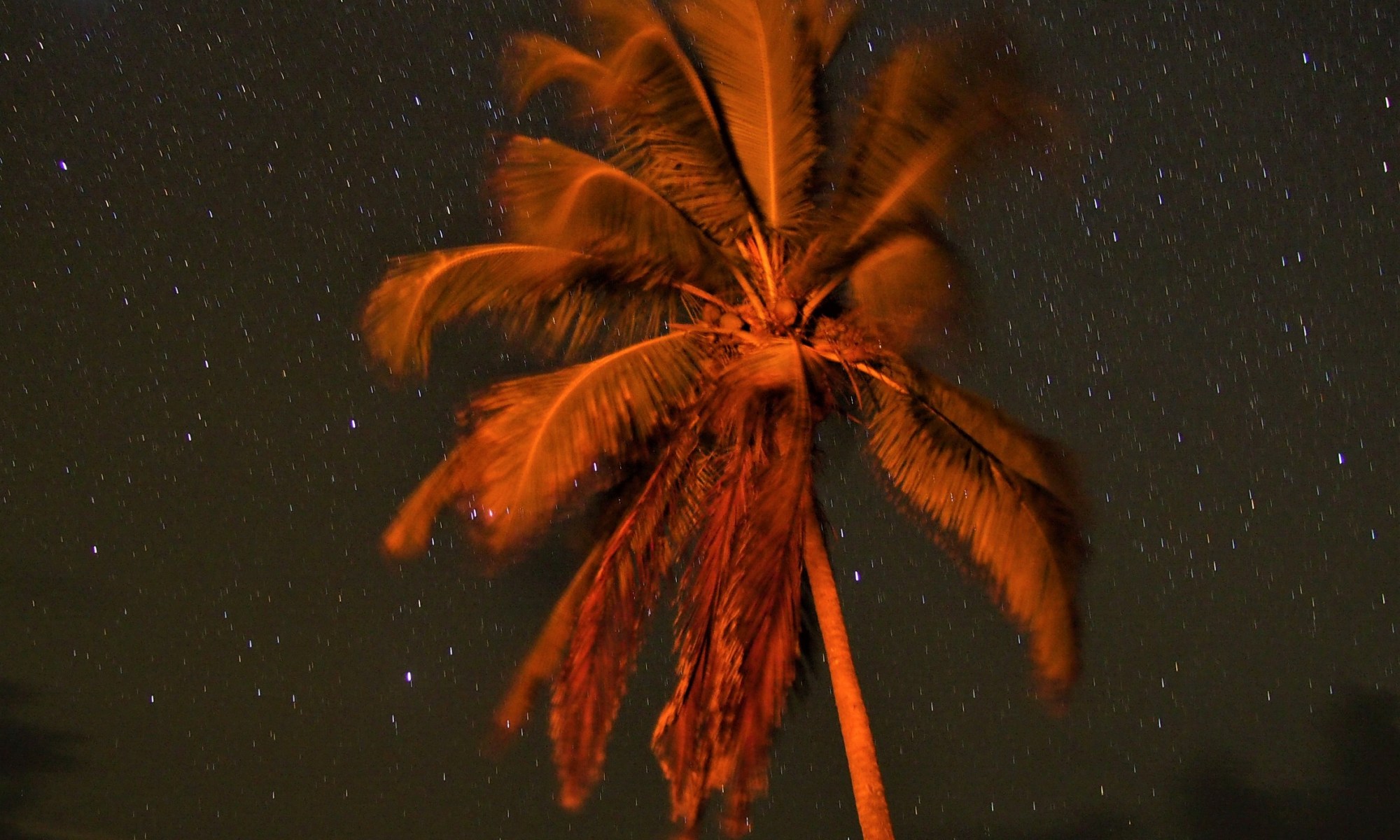 Boat tour Cartagena to Panama