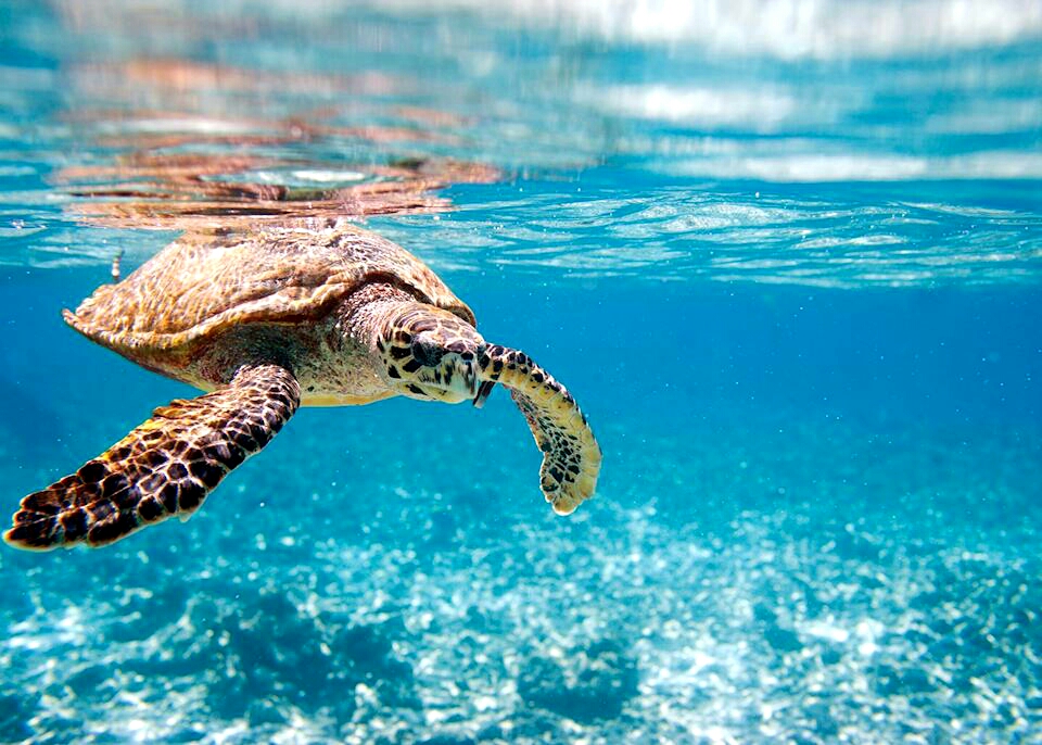 Ave Maria Sailing Panama to Cartagena